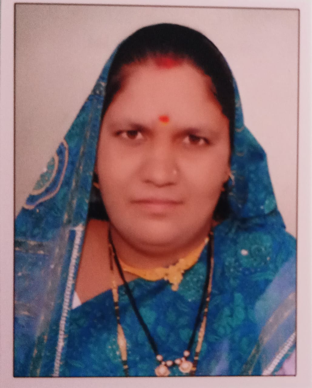 सदस्य